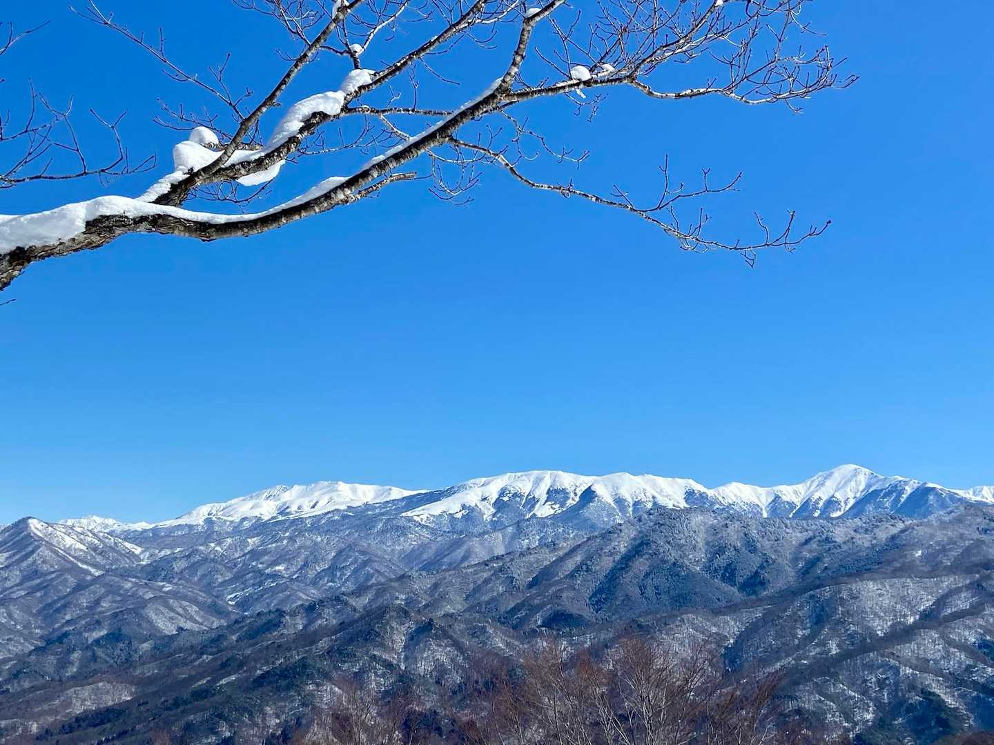 少し開けた所に到着！
案内板をチラッと覗くと…
「天蓋山」の文字！
えっ⁉︎ ここ？
少々拍子抜けして写真を撮りつつ休憩📸
パンを頬張り一息ついて
ピストンで帰るつもりでしたが念のため周回コースも確認しようとYAMAPを開く…
ん⁉︎
バグ？
落ち着いてザックを担ぎ
少し先へと歩いて見ました…