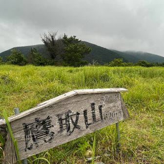 鷹取山到着　福智山山頂付近はやっぱりガス