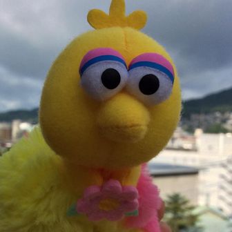 でおきしりぼかく