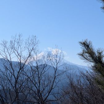 これが一番綺麗かな?