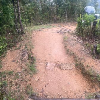 帰りはまさかの登山道な感じ
