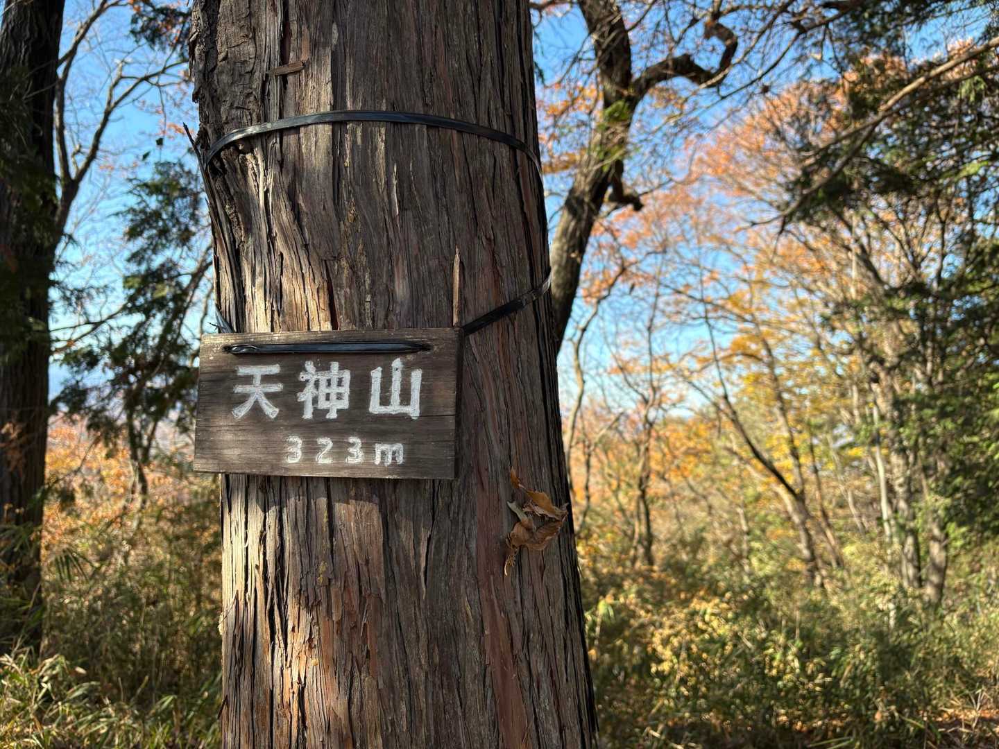 ｢天神小屋｣から約5分で山頂
天神山 323m 登頂〜🙌🏻😂