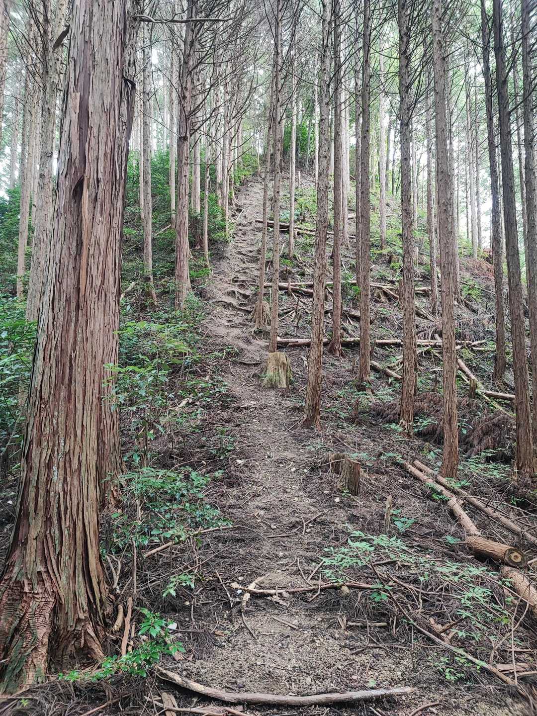 経塚はこの上