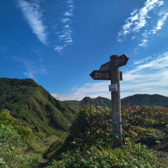 分岐…ここまで来ると景色も楽しいです