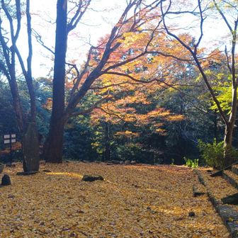 横でももう1枚😁✨