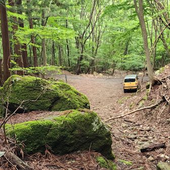 北口登山口に戻る！
予定より早かった。
下山途中で腰に何度か激痛走りのろまな🐢が更に鈍速されたが、ワタシにしては上出来！(^^)v