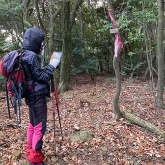 東天川山山頂　281m