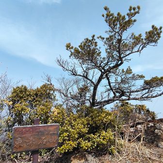 三角点に到着。
ここにも東赤石山の銅板標識が。
ここも良き！