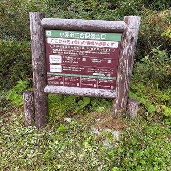 予定通り