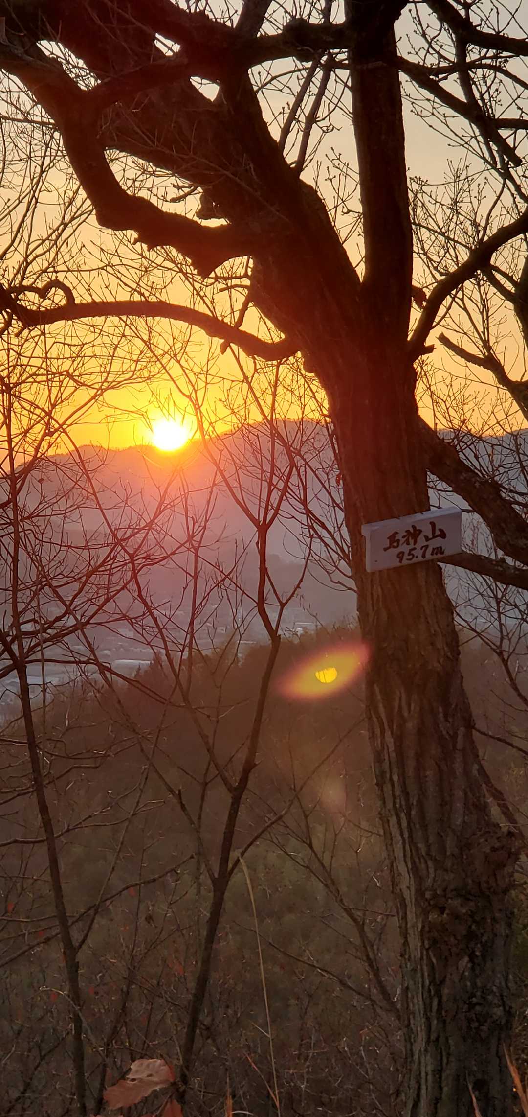 山頂はすぐでした。🌄がバッチリ👀