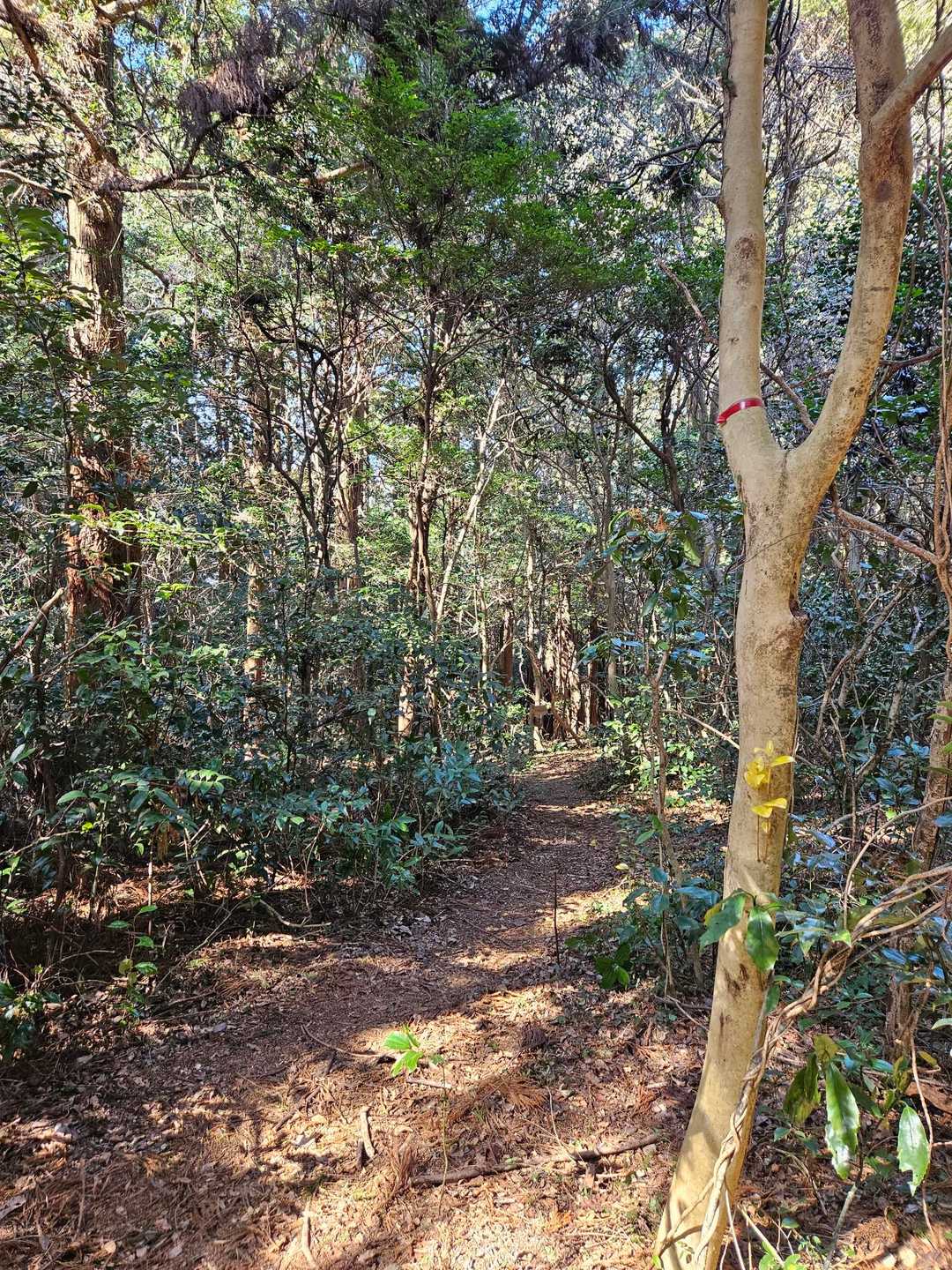 周回コースで下山します～☺