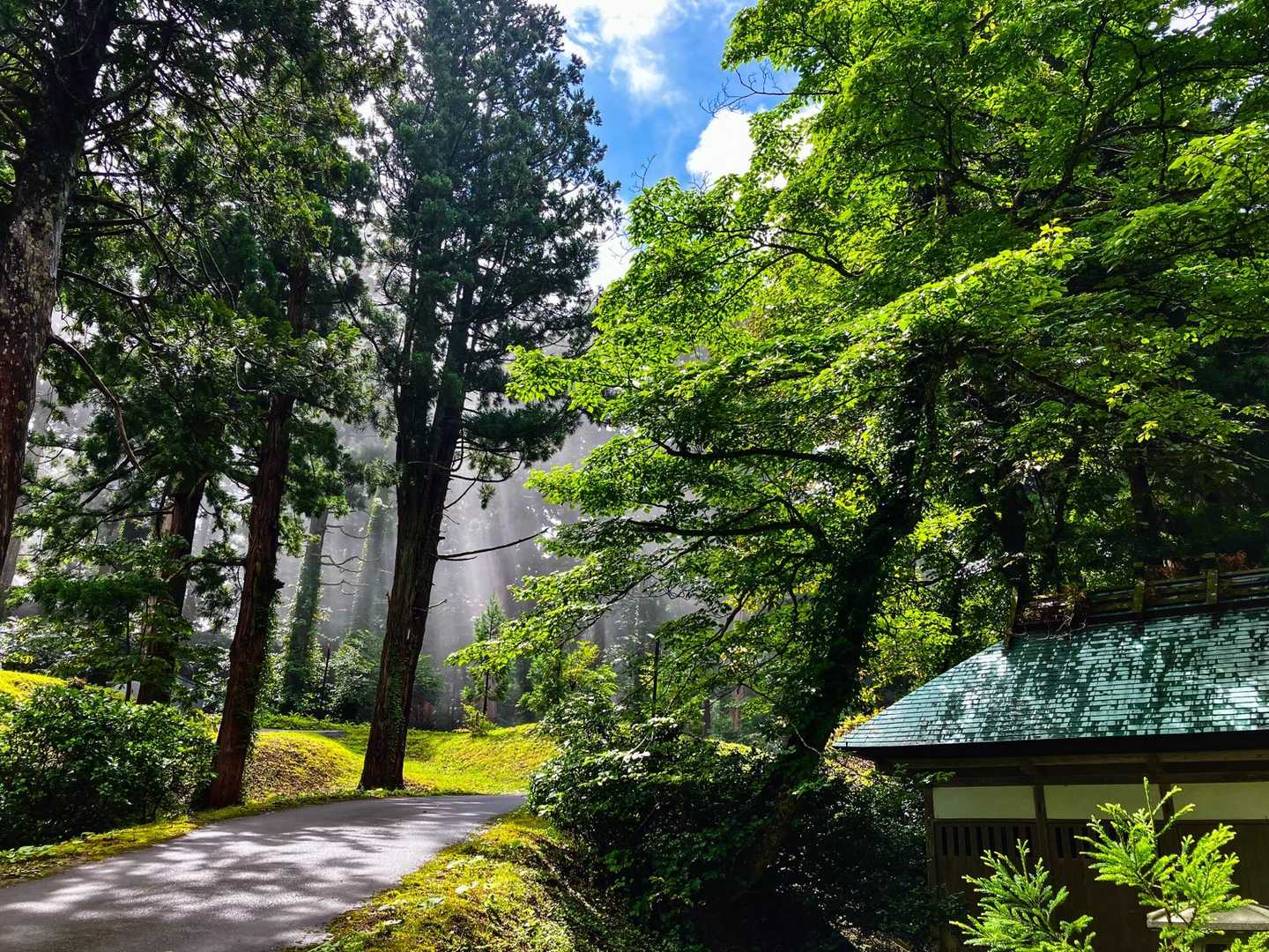 山頂に近づくにつれて青空が。