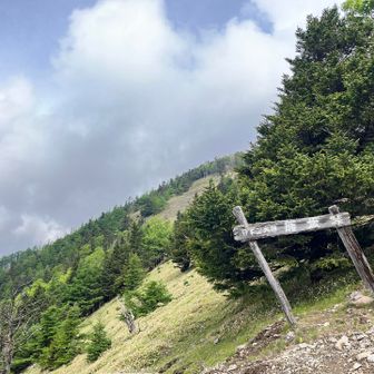 甲武信ヶ岳へはもちろん行かずにここから下山