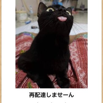 成田 佑介