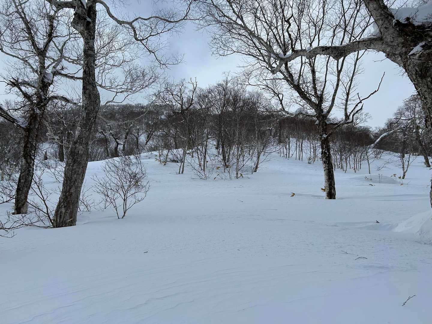 来馬岳 往復コースの写真
