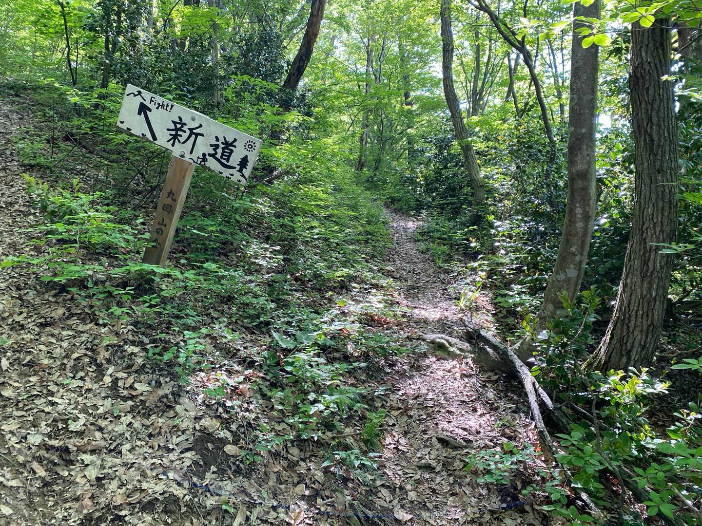 新道へ進みます。