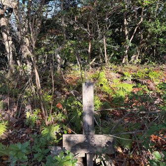 清谷峰山頂　字が消えてる…