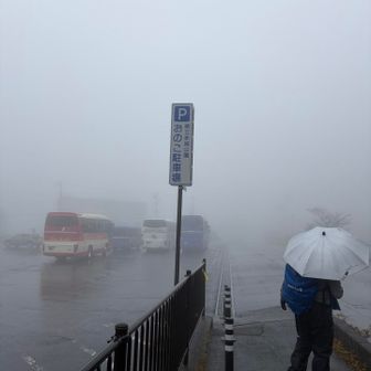 団体さんのバスとかかなり停まってた