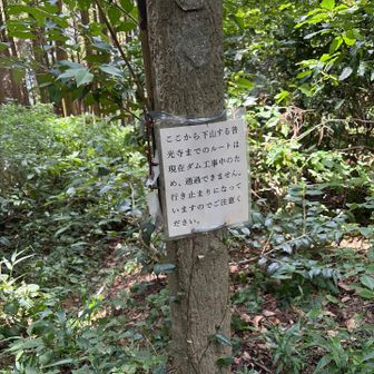 ここからのルートは現在は通れないみたいです