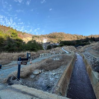 散策路歩きます🚶‍♀️