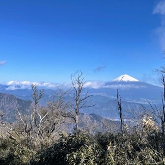 勿論富士山も良い🙆富士山側は雲の流れが速くて、出たり隠れたりです。