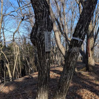 ちょっと寄り道