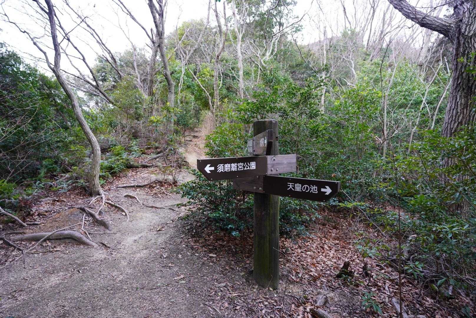 ピンク🩷リボンないけど、迷わないと思います。