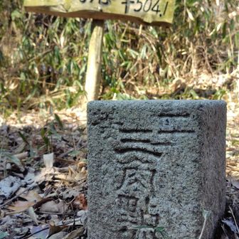 二等三角点(*^^*)