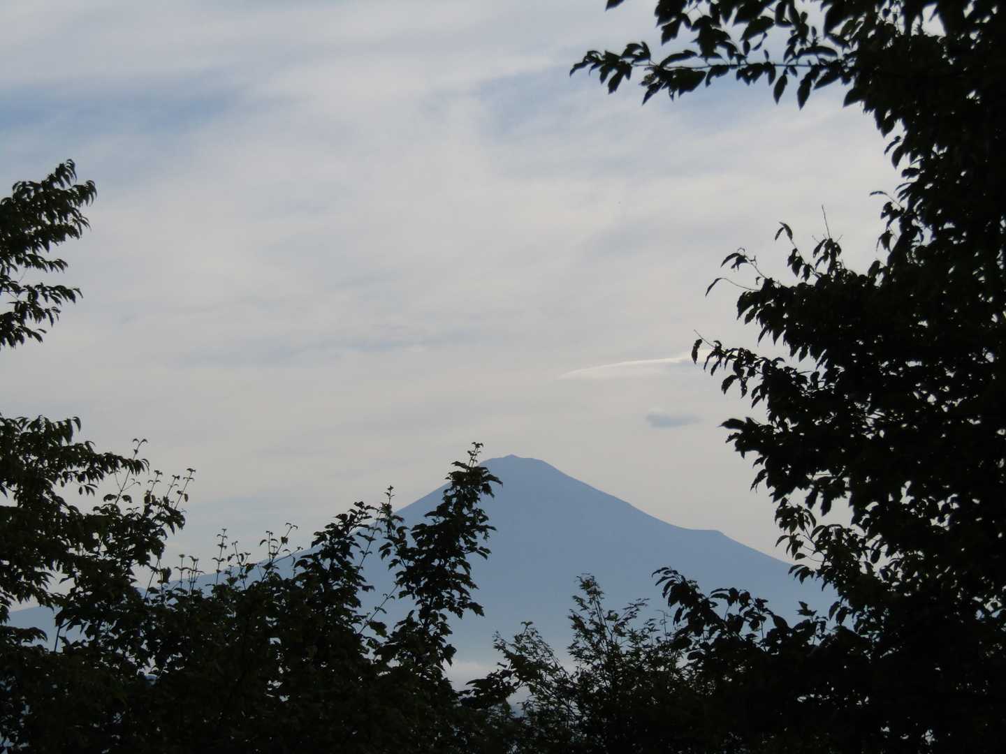 今日最初の富士山。😍