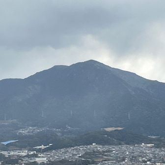雪が降ってました