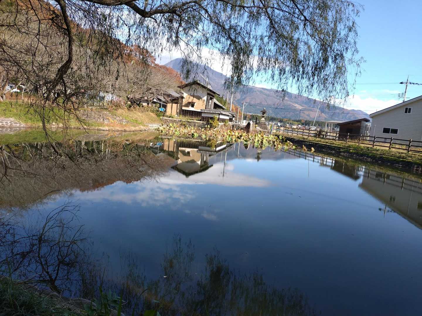 前の池に映る伊吹山