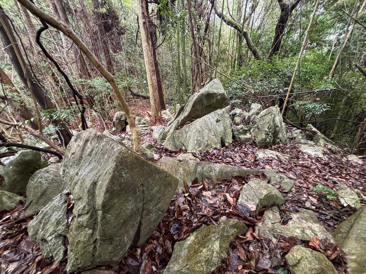 ニョキニョキとカルスト地形
ああ、これを見ると4月の平尾台が楽しみだ〜
誰かが墓場だといってたっけね