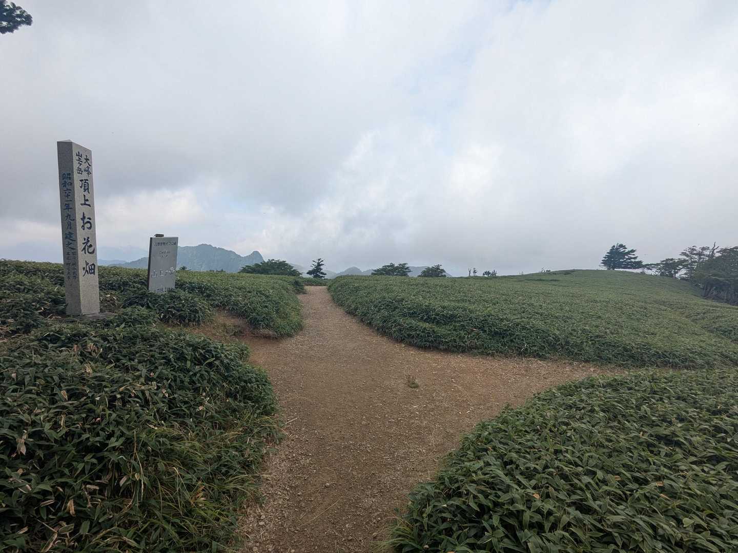 お花畑（笹）
特徴的な形をした大日山も見えます
