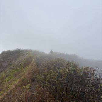 目の前だけど弥山もガスに