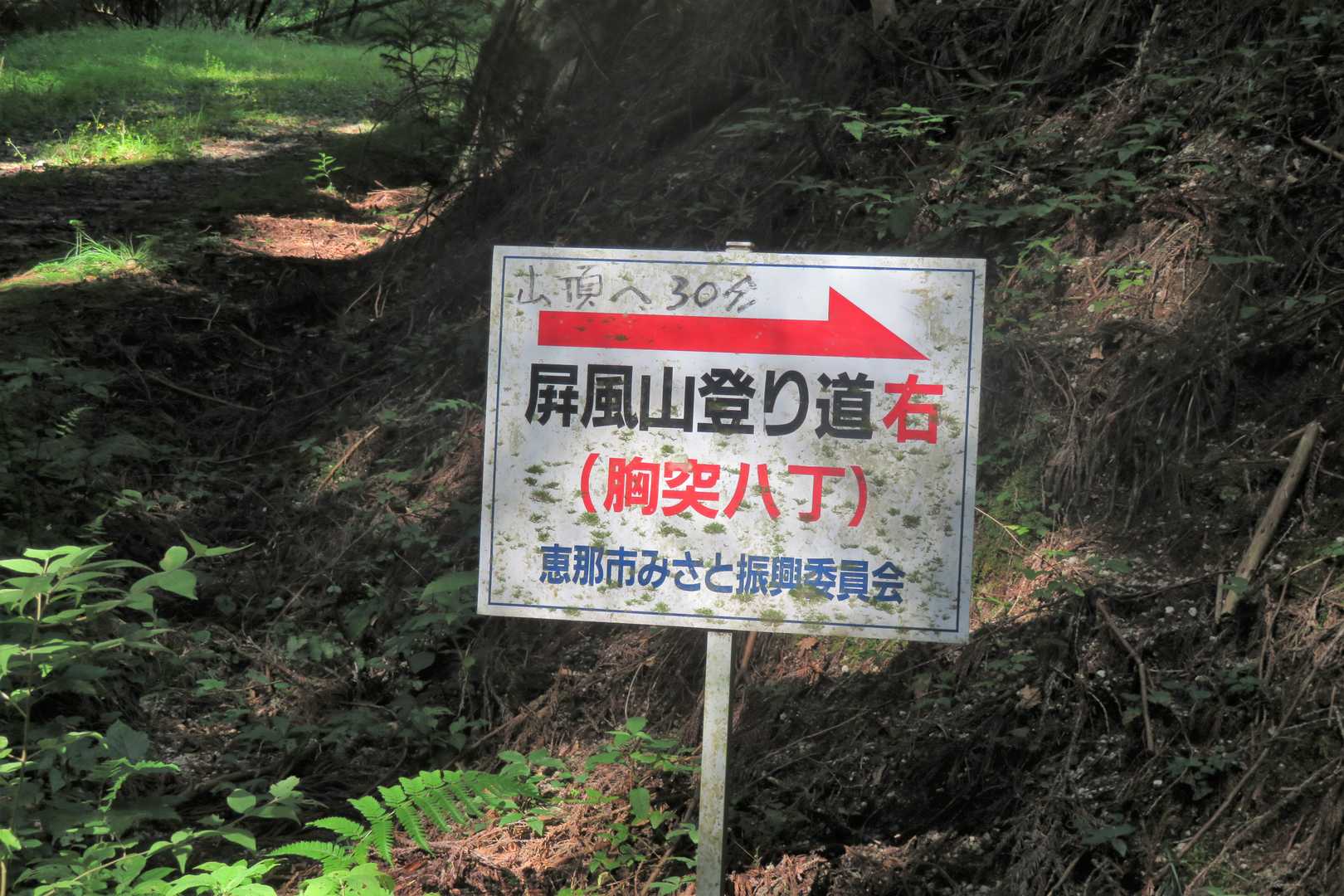 今から急登かな