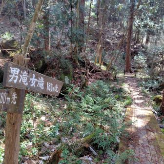 予定になかった滝に行ってみる