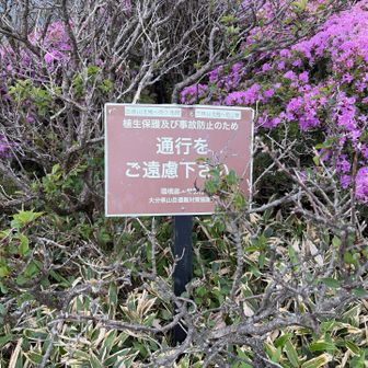 この看板を見て　この先は次回に😭