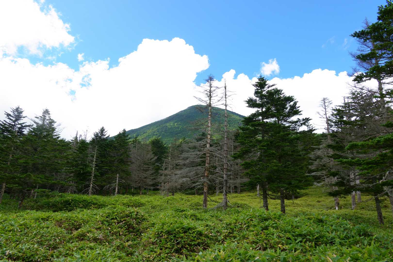 本日登ってきた蓼科山。