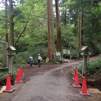 一の鳥居がなくなってる