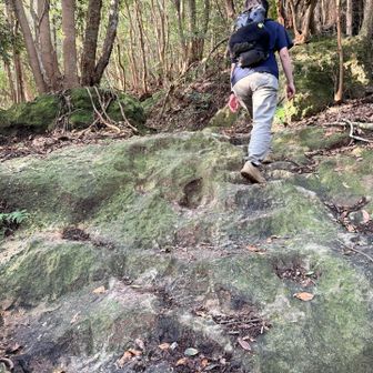 さて、分岐まで戻ってきて
黒髪山山頂へ向かう