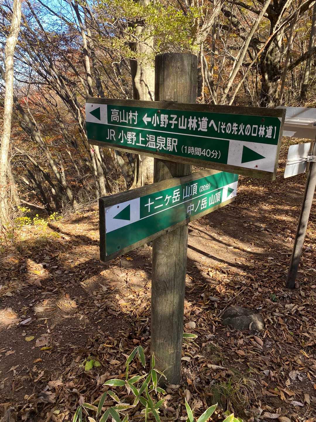 十二ヶ岳 往復コースの写真
