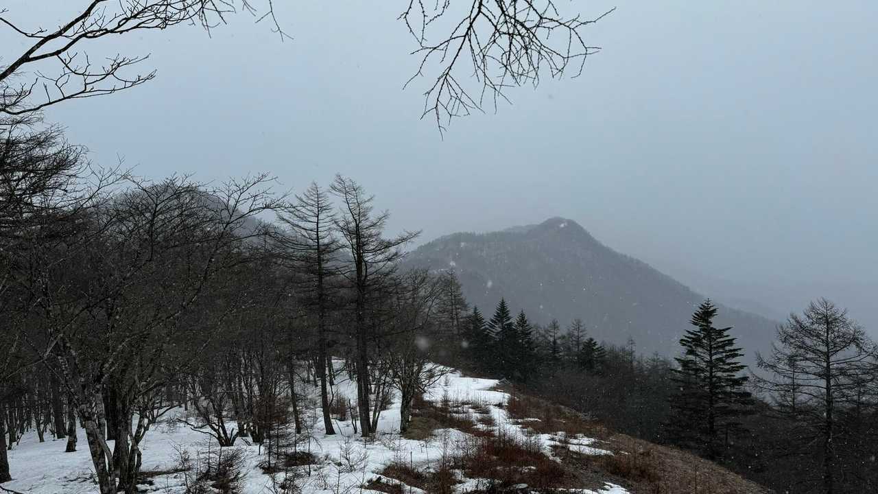 奥多摩、石尾根テン泊縦走（鴨沢〜七ツ石山〜鷹ノ巣山〜六ツ石山〜奥多摩駅） の写真 47