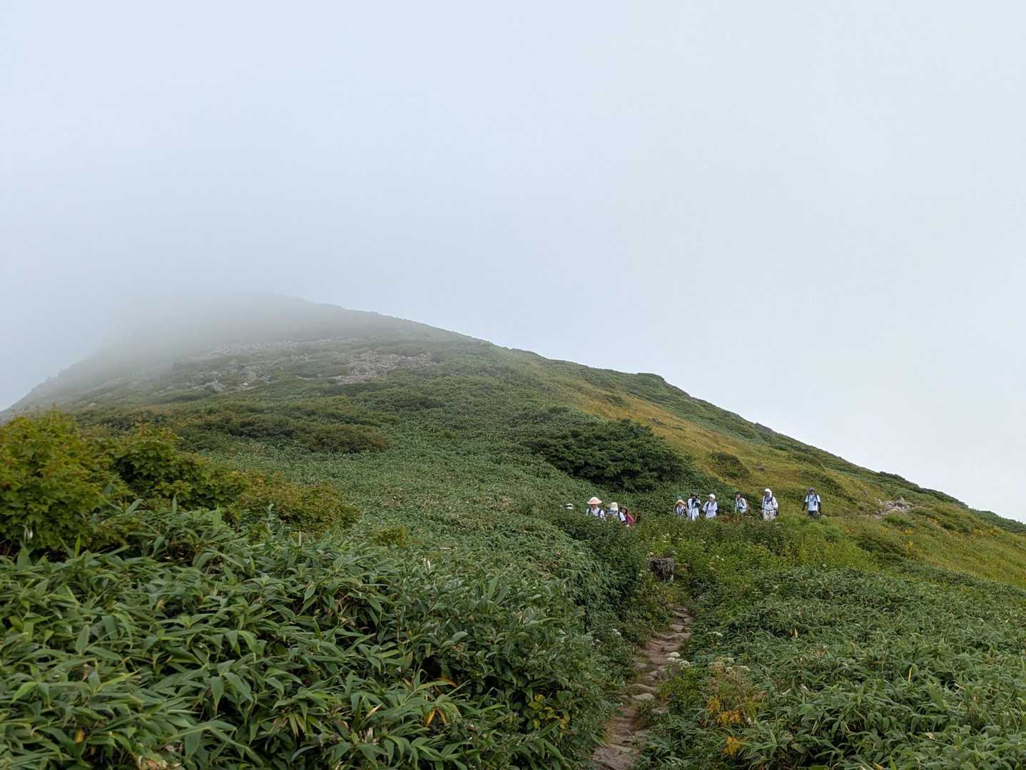 やっとオモワシ山を見ることが出来ました😆コチラのルートは、白装束の修験の方々も含め、とてもたくさんの方とスライドしました👤👤👤👤道を譲るのにも時間がかかり、のんびりペース…おかげで、あまり疲れは無い1日でした😂