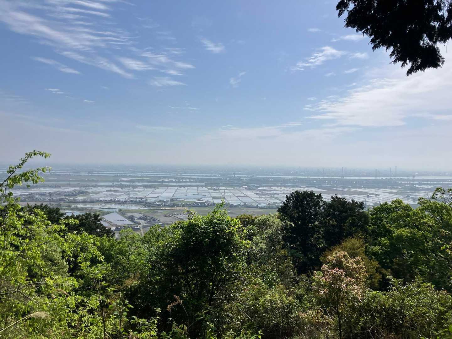 かなり田植えが進んでいますね🌾