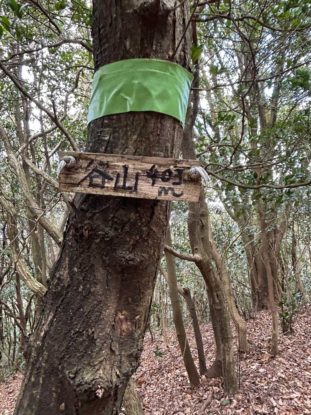 谷山山頂⛰️