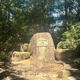 やっと来た！
左側の景色はびっくりしたわ