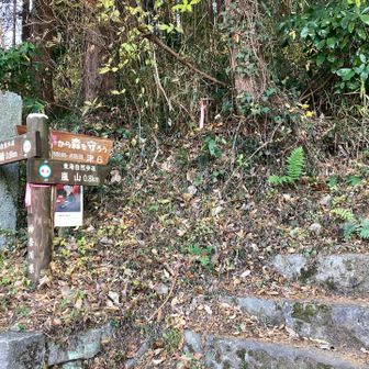 ここまでワープ