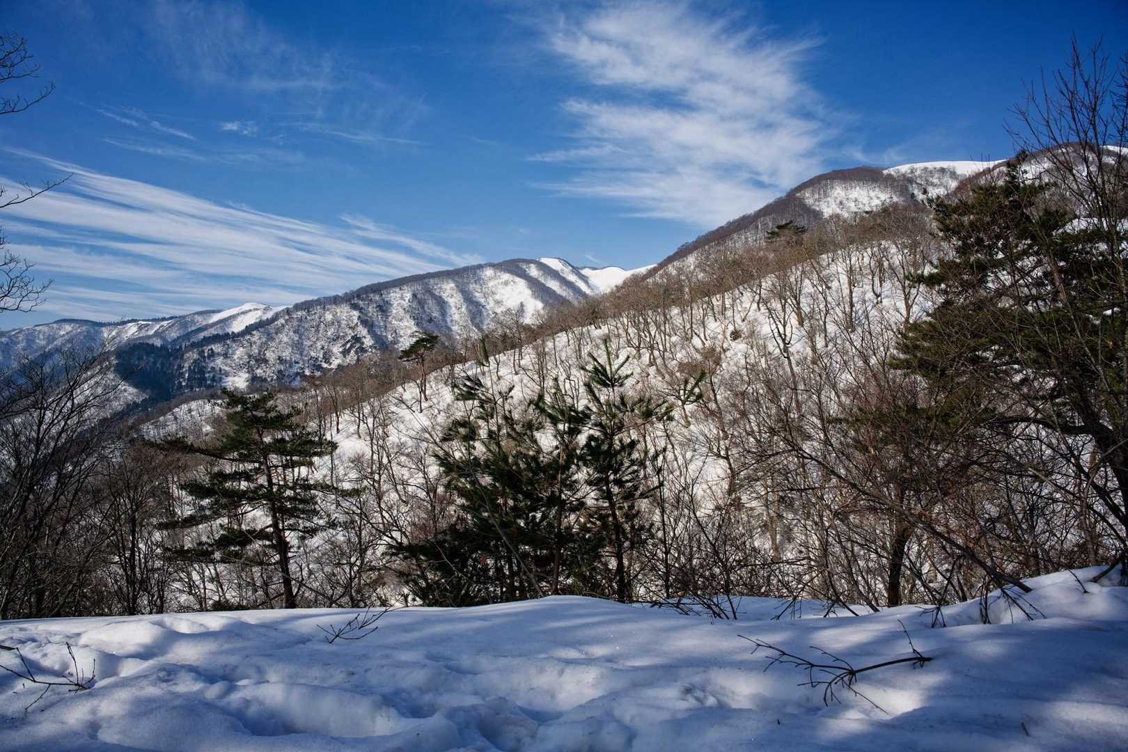 武奈の木平-粟柄越-赤坂山-赤坂山登山口 縦走コースの写真