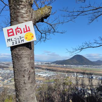 ここ最近で最も疲れた藪漕ぎだった…