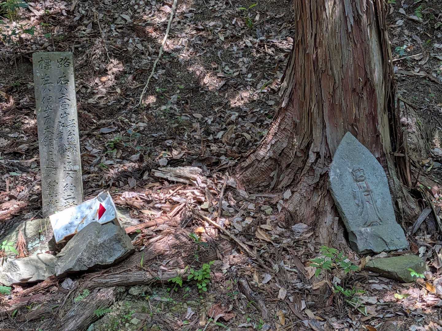 神明社鳥居-天面山登山口-天面山 往復コースの写真